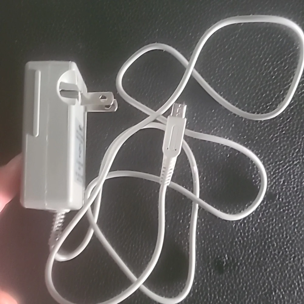 Nintendo DS charger